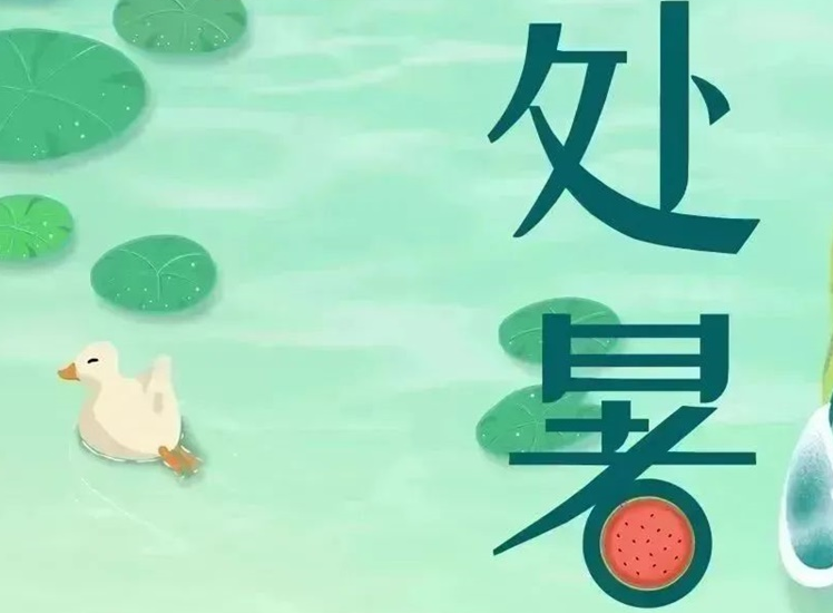 处暑 | 暑气渐消，守护不止！