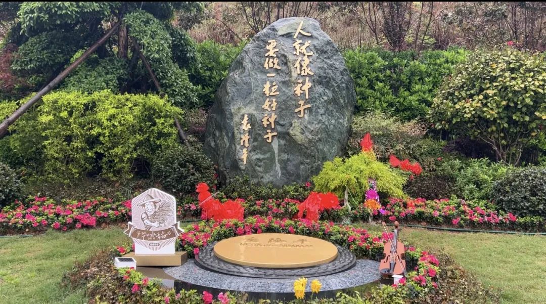 禾下乘凉梦，一稻一人生 我们永远怀念袁爷爷 #安全用电你我湘联