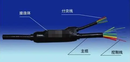 分支电缆是什么？